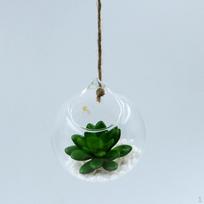 Pack 6 Pieces Hanging Vase Terrarium Container Bottle