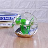 Globe Plant Pot Vase Holder Terrarium Container Decor