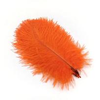 10 vnt. Stručio plunksnos, pasidaryk pats, valgomojo stalo centriniai elementai Dekoravimo priedai Papuošalai Vestuviniai rankdarbiai Rankdarbiai 15-20cm-6-8inch