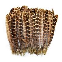 Natūralios fazano plunksnos drabužiams 4-6 /10-15CM Aukštos kokybės dažytos moteriškos plunksnos rankdarbiams Papuošalai Priedai Pigūs plunksnos 20 Pcs natūrali