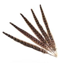10vnt Natūralios moteriškos fazano uodegos plunksnos amatams Pasidaryk pats Papuošalų kūrimas Vestuvių papuošalai Vakarėlių dekoras Plumas 23 -30cm 10pcs