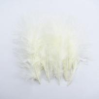 Oda Rožiniai Marabou Kalakuto Plunksnos Fazano Baltos Plunksnos Rankdarbiams Baltos Plunksnos Drabužiams Karnavalo Aksesuarai Plumas 20 Pieces beveik baltos spalvos