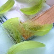 20 vnt. 8 -12 cm vidurinis plūduriuojantis žąsies plunksna natūralios spalvingos plunksnos vestuvių vakarėliui, drabužių dekoravimui, pasidaryk pats amatų plunksnos 8-12cm 100pcs armijos žalia spalva