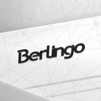 3D Metalo Automobilio Ženklelis Citroen Berlingo Kemperis K9 M XL Chromo Sidabro Automobilio Galinės Bagažinės Emblema Lipdukas LOGO Dekoracija Kėbulo Stilius