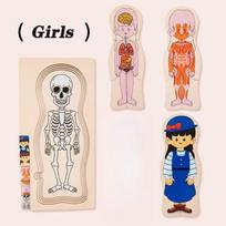 Montessori Wooden Human Body Structure Puzzle Learning  Educational Multi-Layer Organ Cognitive Learning Toys  Playsets for Kids Early Development