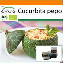 SAFLAX Sodas maiše – Ekologiška – Cukinija – Tondo di Nizza – 5 sėklos – Su substratu tinkamame stovimame maišelyje – Cucurbita pepo