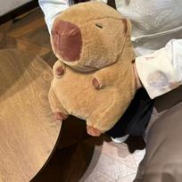 Capybara Hand Warmer Plush Pillow – Cute Nap Cushion for School 30 cm