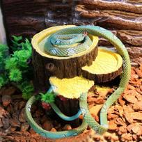 Reptile Vivarium Terrarium Decoration Hide Cave Feeding Bowl Gecko Feeder
