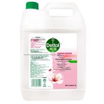 Dettol Moisturizing Antibacterial Hand Wash Refill (5L)