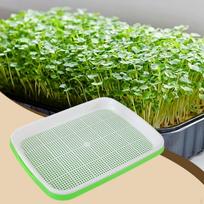 Dėklas daiginti mikrožalumynus patalpų sodininkystei Shallow Tray