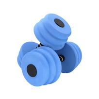 1Pair Thread Foams Dumbbells Lightweights Aquatic Exercise Dumbells Water Fitness Exercises Equipment for Adults, Kids 1 mėlyna