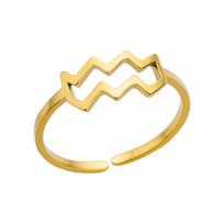 Taurus Aquarius  Pisces Capricorn Leo 12 Constellation Rings For Women Stainless Steel Gold Color Wedding Ring Zircon Birthday resizable