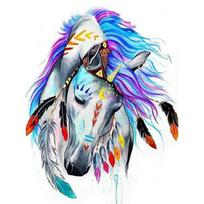 5D DIY Diamond Painting  Colorful Horse  handmade Embroidery art Cross Stitch Mosaic Decor gift 20X30CM
