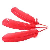 Daugiaspalvės žąsų plunksnos, kalakuto rodyklės, didelės plunksnos rašikliams, amatams, papuošalų gamybai, kostiumams 25-35CM Plumas Decorativas 20 pcs raudona