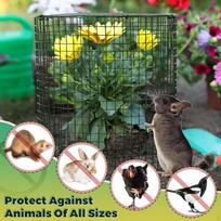 Garden Cage Animal Barrier Wire Cloche Ground Stakes Windproof Fencing for Small Plants Flowers 30cmx30cm