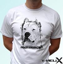 Dogo Argentino - dog kids boys T-Shirt top tee design - s s kids baby sizes 120