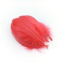 20vnt /Lot Žąsų plunksnos amatams Pasidaryk Pluams Papuošalai Gamyba Vestuviniai Drabužiai Dekoracija Aksesuarai Rankdarbiai Plunksnos 15 .20cm 20pcs arbūzo raudonos spalvos
