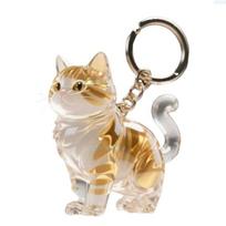 New Transparent Cat Hair Storage Box Bag Charm Capsule Shape Pet Hair Memorial Keepsake Maine Dog Fur Container for Pet Lovers