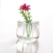Shaped Clear Vases Terrarium Container Living Room Decor