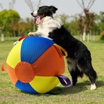 Giant Bite-Resistant Dog Ball Set for Self-Amusing and Boredom Relief, Perfect for Retrievers, Shibas, and Corgis 9.8 inches