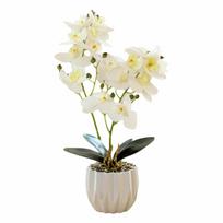 Multicolor Butterfly Orchid Artificial Bonsai White Flowerpot 2 Forks Simulation Phalaenopsis Flower Green Leaves Photo Props balta