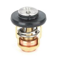 Termostato keitimas Honda Marine pakabinamam varikliui 20-130AG Sierra 19300-ZV5-043 18-3630