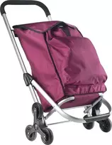 Kelioninis Aktivo Ekspertinė Premium 604353 Pirkinių Vežimėlis