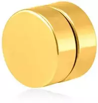 Troli Auksuotas magnetinis viengubas auskaras 2 in 1 (akmuo, mini sagė) VSE6018G-PET
