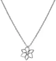 Hot Diamonds Fine Sidabrinis karoliai su deimantų puokšte deimantiniai amuletai DP894 (grandinė, pakabukas)