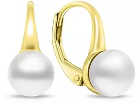 Brilio Silver Brilio Sidabrinis Gold-plated pearl earrings EA938Y