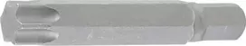 Bgs Technic Antgalis | ilgis 75 mm | 10 mm (3/8") storis | T-Star (Torx) T60 (4598)