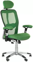 Beauty System Ergonominė biuro kėdė CorpoComfort BX-4147 Žalias