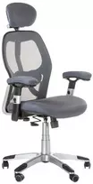 Beauty System Ergonominė biuro kėdė CorpoComfort BX-4144 Pilkas