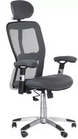 Beauty System Ergonominė biuro kėdė CorpoComfort BX-4147 Pilkas