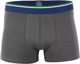 Bambukiniai apatiniai vyrams Clark Crown 1015 Bamboo Boxershort hipster, pilki