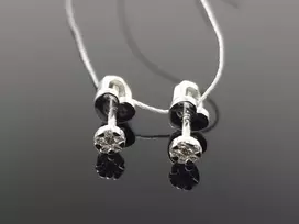 Best Diamonds Balto aukso auskarai su briliantais Praba: 585