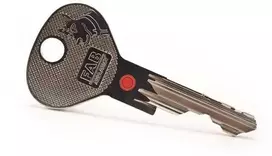 Abloy RUOŠINYS RAKTŲ 200RS RRS1 FA207GG074.100