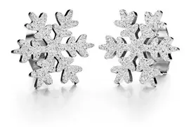 Troli Glitter earrings made of steel Snowflake KE-013