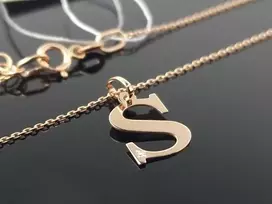 Best Diamonds Auksinė grandinėlė su raidele S ir briliantu