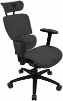 ThunderX3 XTC ergonominė ofiso kėdė – Loft Dark pilkos spalvos