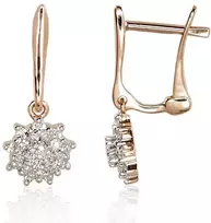 Auksiniai auskarai su briliantais Diamond Sky "Diamond Flower"