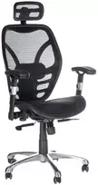 Beauty System Ergonominė biuro kėdė CorpoComfort BX-4036 Juodas