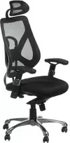 Beauty System Ergonominė biuro kėdė CorpoComfort BX-W4310 Juodas