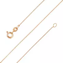 Auksinė grandinėlė "Anchor" Brasco 57790