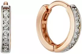 Auksiniai auskarai su cirkoniais Brasco 57499
