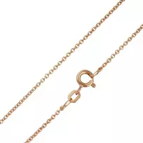 Paauksuota sidabrinė grandinėlė "Anchor" Brasco 57796