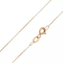 Auksinė grandinėlė "Anchor" Brasco 57840