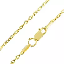 Paauksuota sidabrinė grandinėlė "Anchor" Brasco 53187