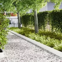 Vejo kraštas 30 pcs Balta 100 x 0.05 x 20 cm