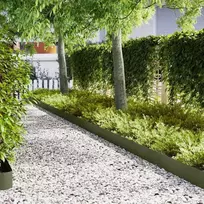 Vejo kraštas 20 pcs Alyvuogių žalia 100 x 0.05 x 20 cm